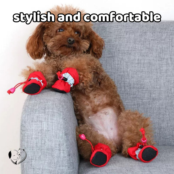 Flexible Paw Shoes