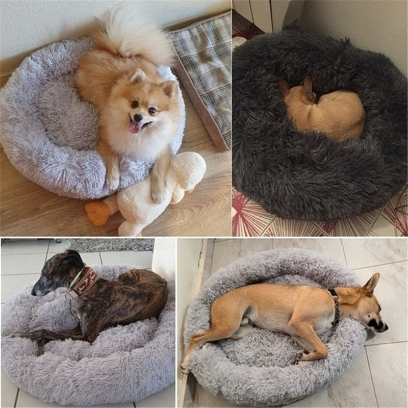 Plush Pet Bed