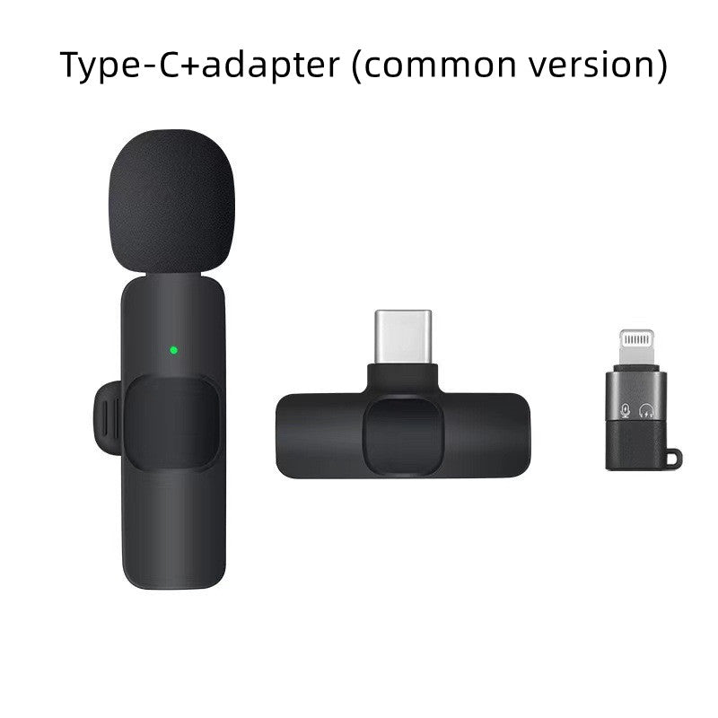 Wireless Portable Microphone