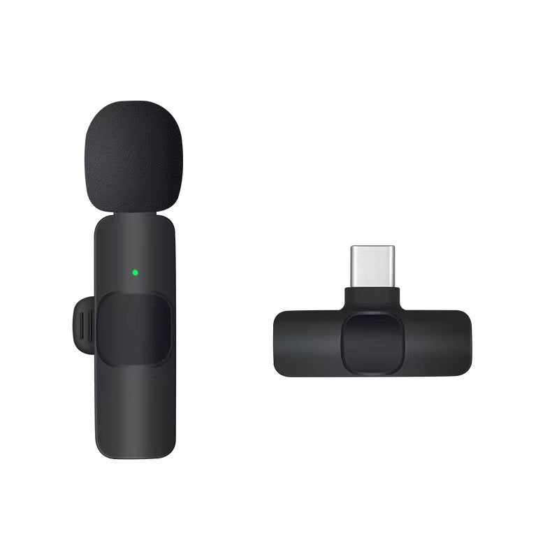 Wireless Portable Microphone