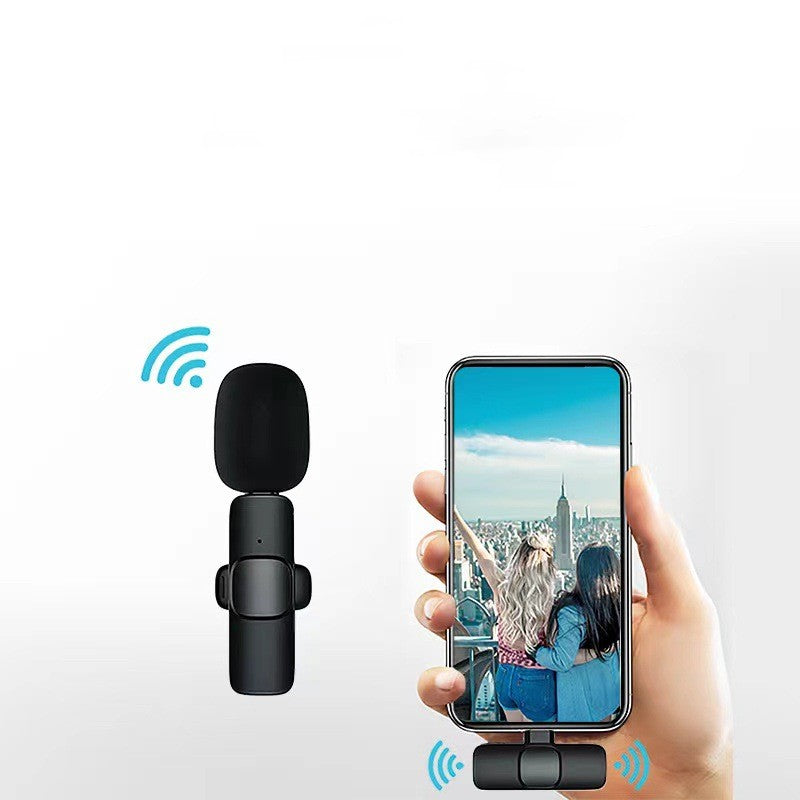 Wireless Portable Microphone