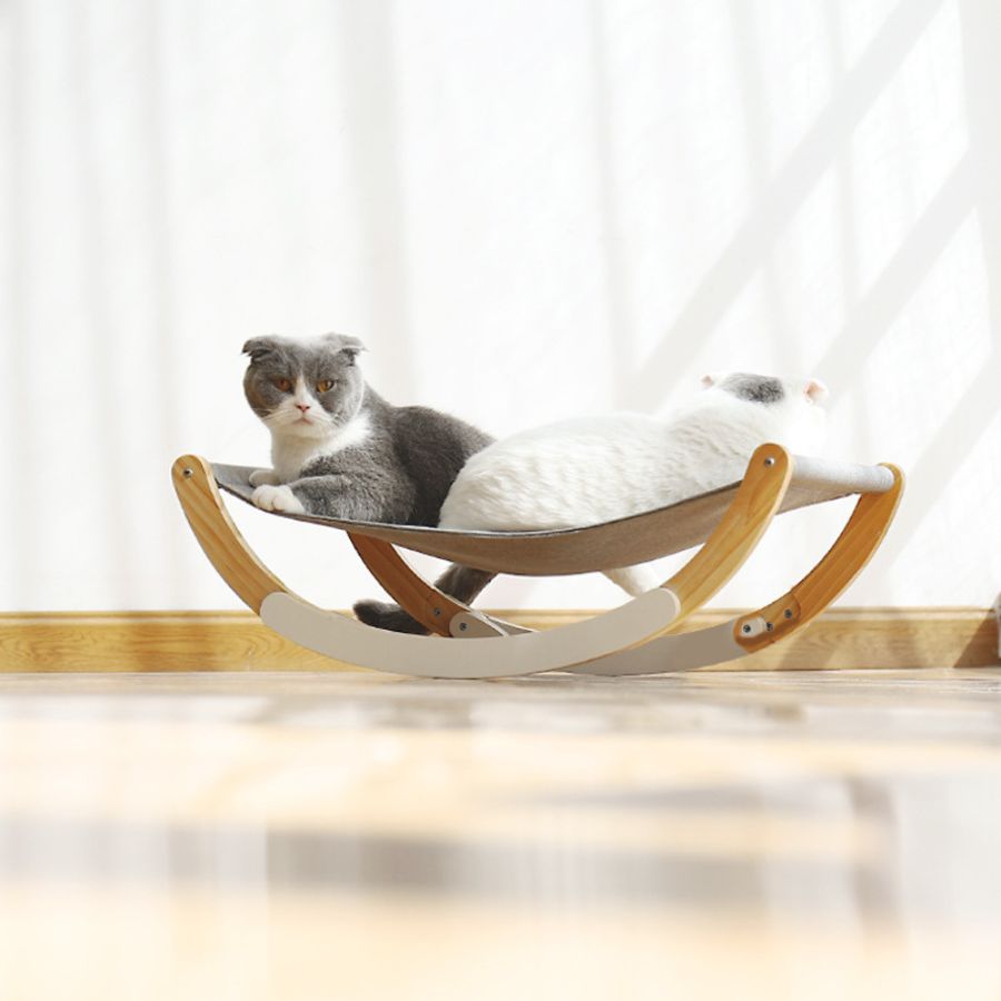 Cat Hammock