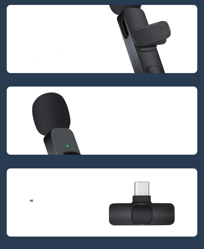 Wireless Portable Microphone