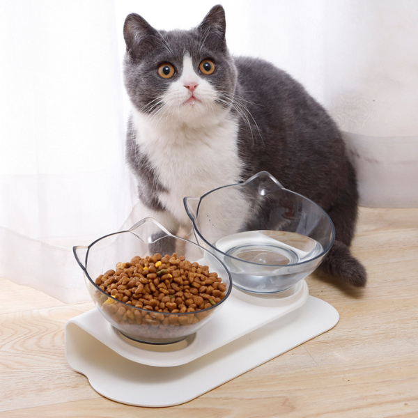 Ergonomic Cat Bowl