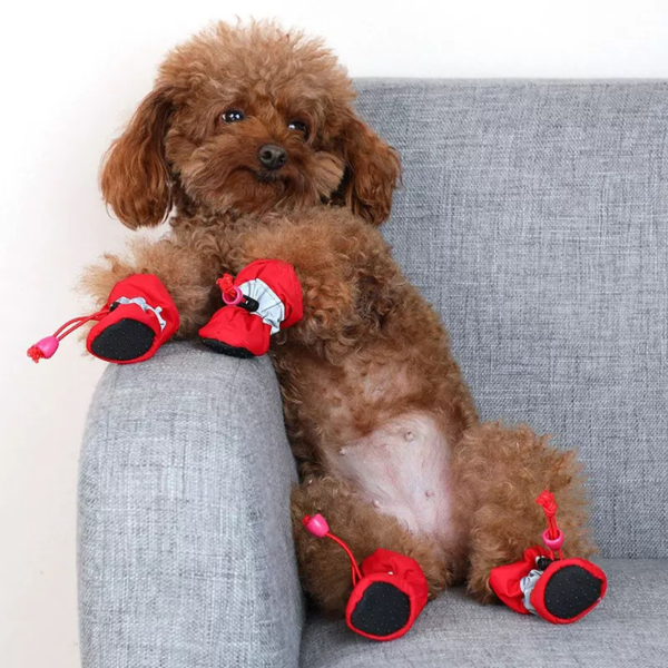 Flexible Paw Shoes