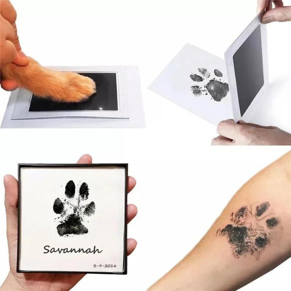 Paw Memory Print Kit