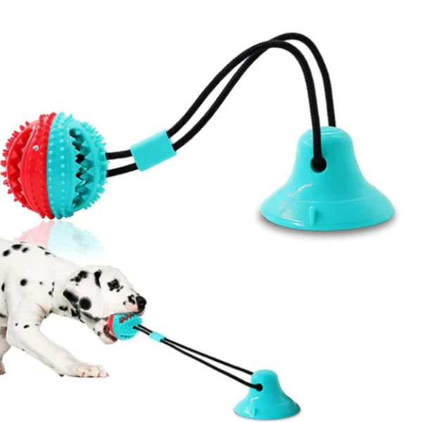 Suction Pup Active Toy