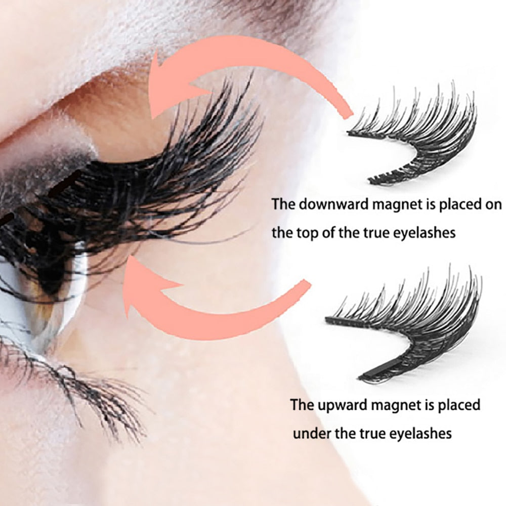 Dual Magnetic Eyelashes