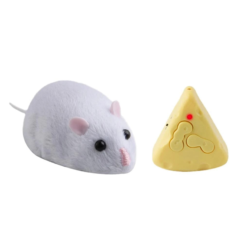 Mouse Hunt Cat Toy