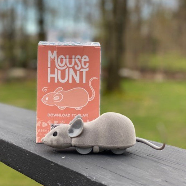 Mouse Hunt Cat Toy