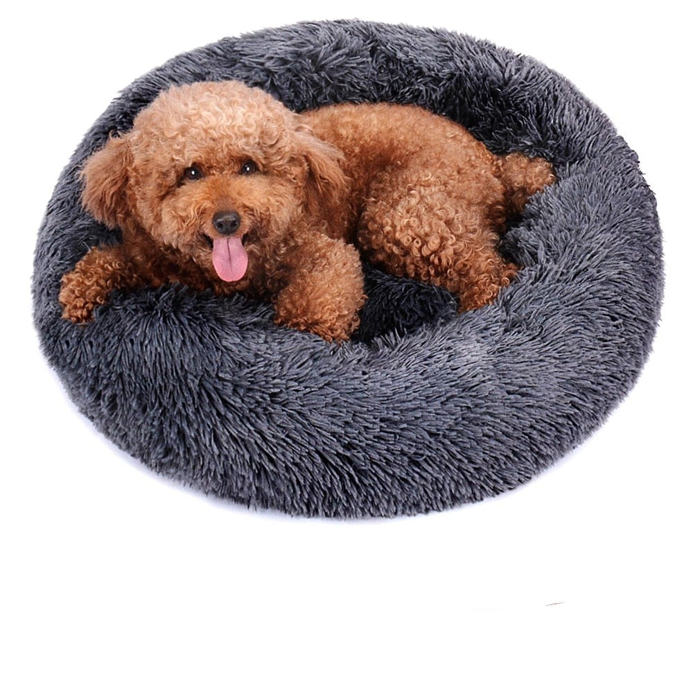 Calming Dog Bed