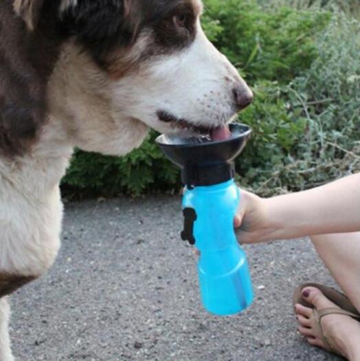 Portable Pet Water Bottle