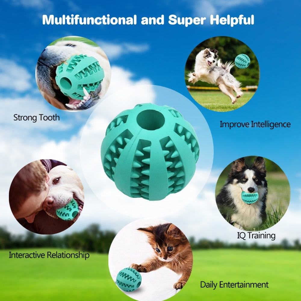 Cat & Dog Treat Ball Toy