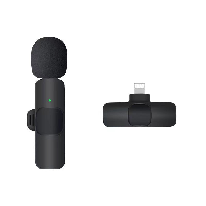 Wireless Portable Microphone