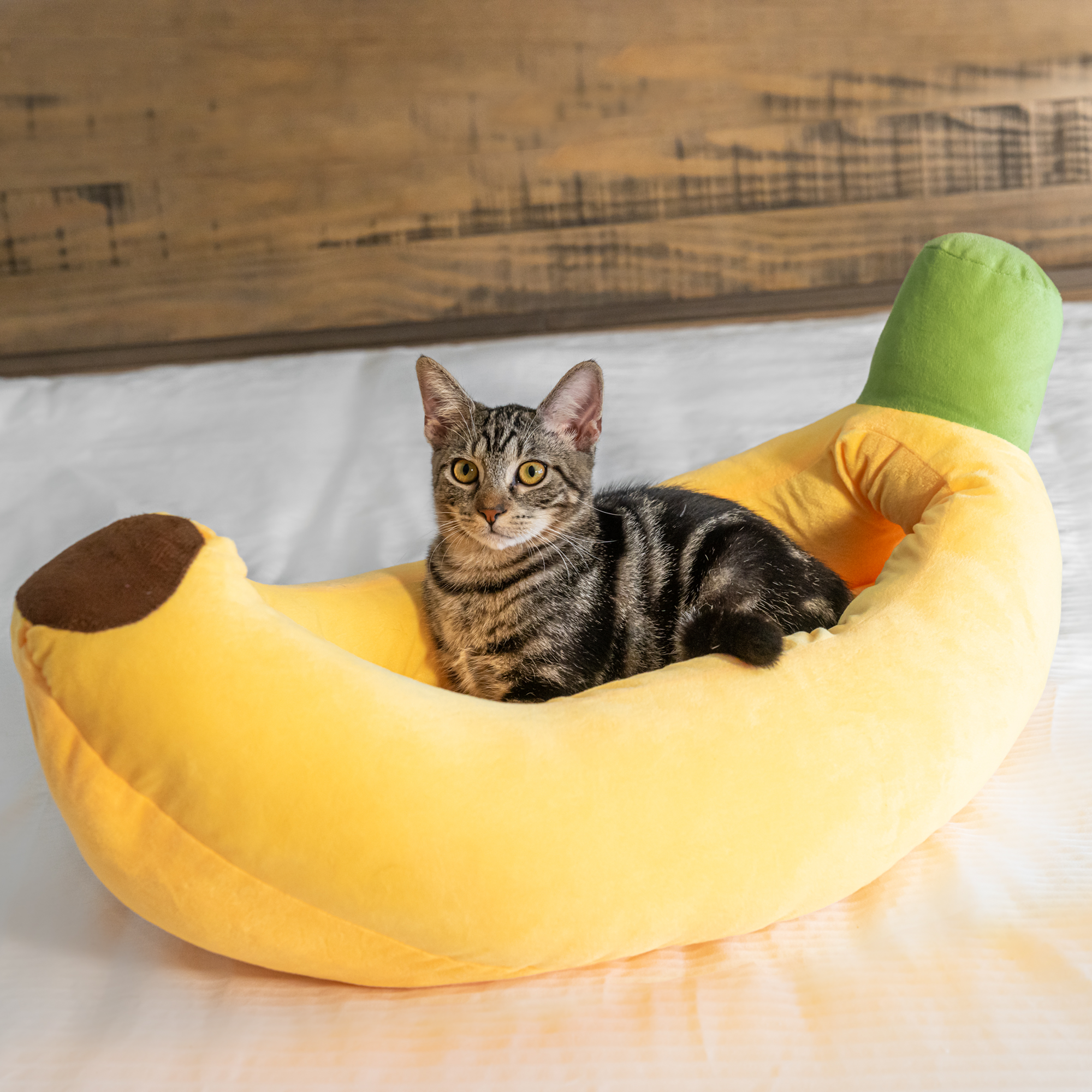 Banana Cat Bed