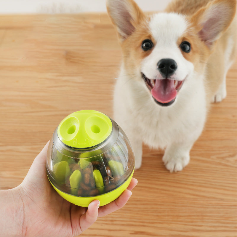 Pet IQ Treat Toy