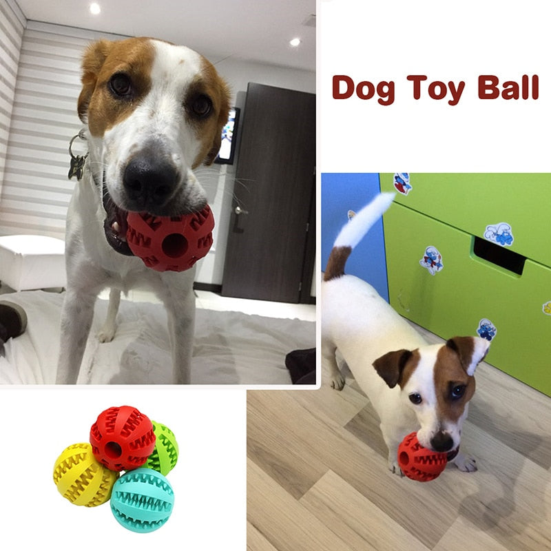 Cat & Dog Treat Ball Toy