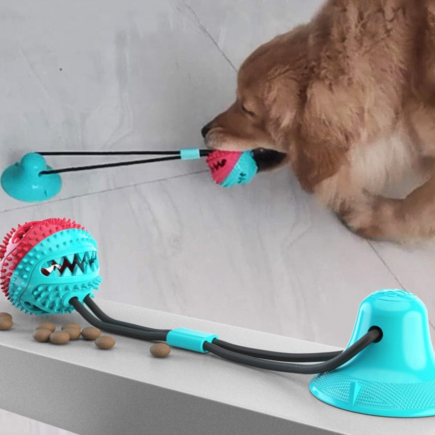 Pleasure Crunch Dog Toy