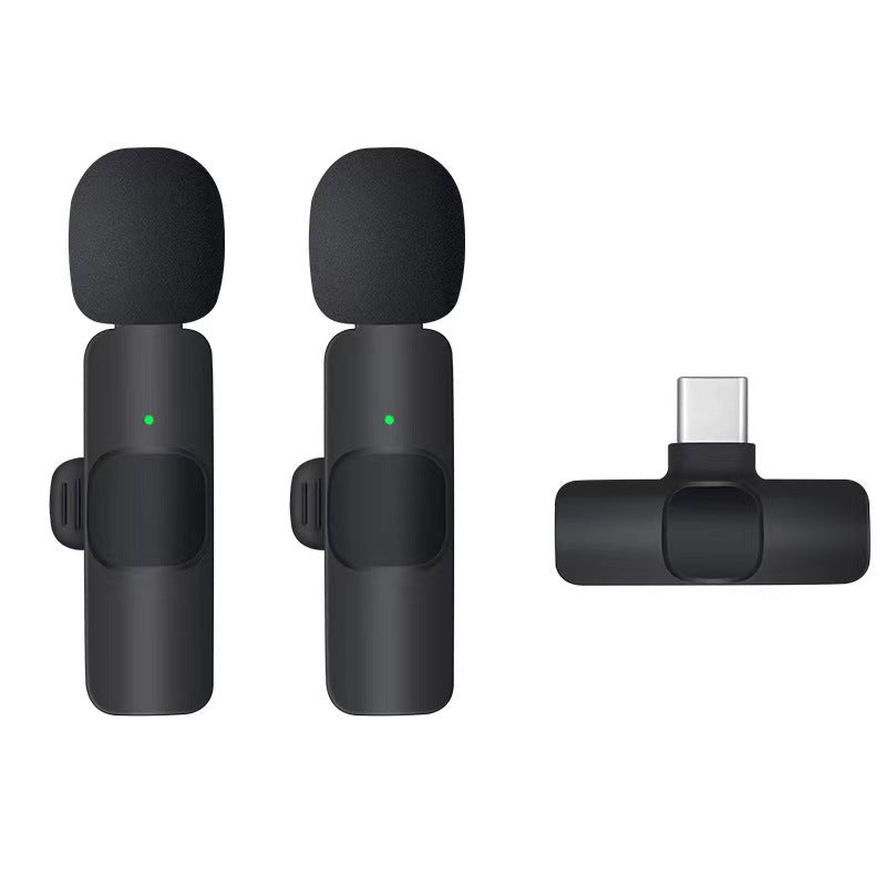 Wireless Portable Microphone