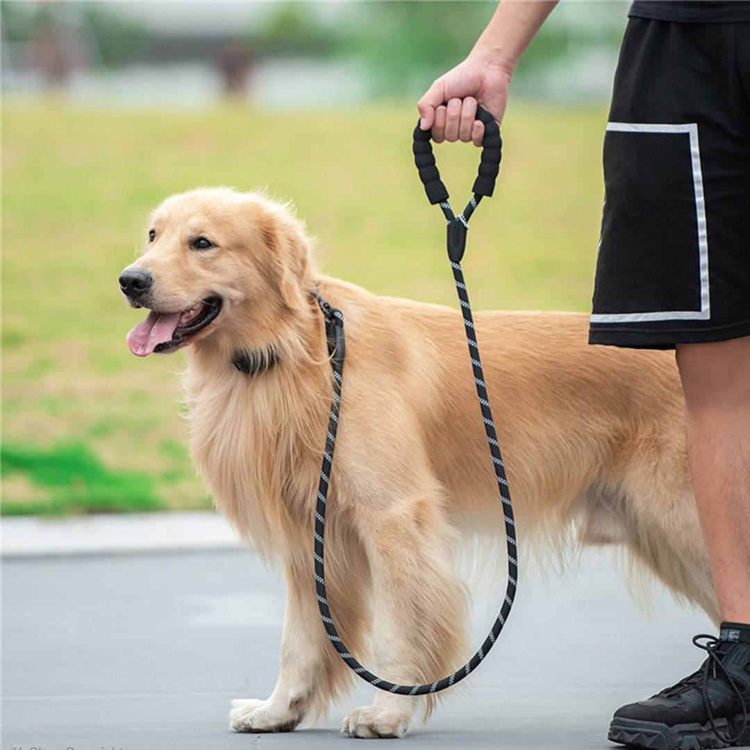 Strong Reflective Dog Leash